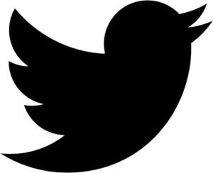 Logo Twitter Noir